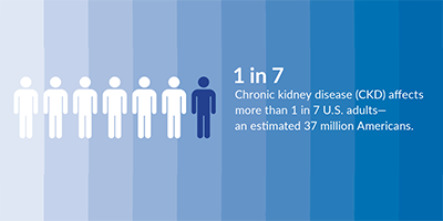 A clear path through chronic kidney disease management and support